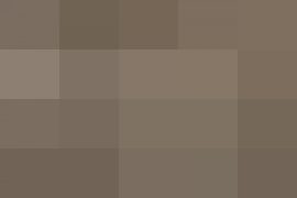 Il faut s&rsquo;adapter, sur un nouvel imp&eacute;ratif politique &ndash; Barbara Stiegler