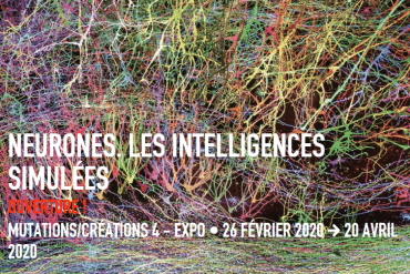 Intelligence Artificielle & Philosophie: l&rsquo;AI est-elle une repr&eacute;sentation de l&rsquo;intelligence parmi d&rsquo;autres ?