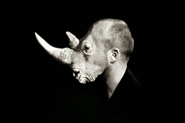 Le chantage &agrave; l&rsquo;Aufkl&auml;rung. Foucault, Adorno et Kuhn