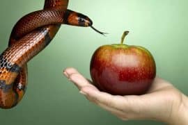 Le D&eacute;sir : Perspectives Philosophiques, Socio-&eacute;cologiques et Psychologiques