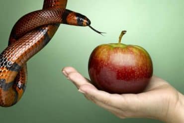 Le D&eacute;sir : Perspectives Philosophiques, Socio-&eacute;cologiques et Psychologiques